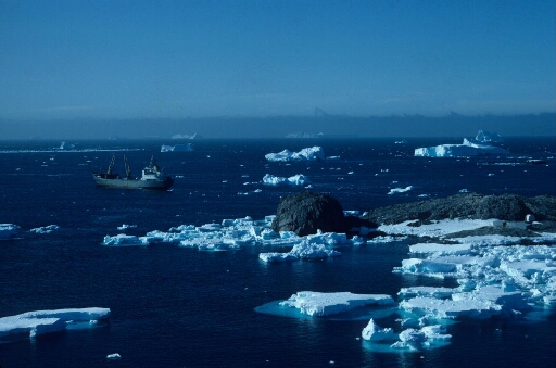 Le Lady Franklin naviguant en direction du large. Au premier plan, l'île Cuvier. Mer libre à perte de vue, quelques petits icebergs.