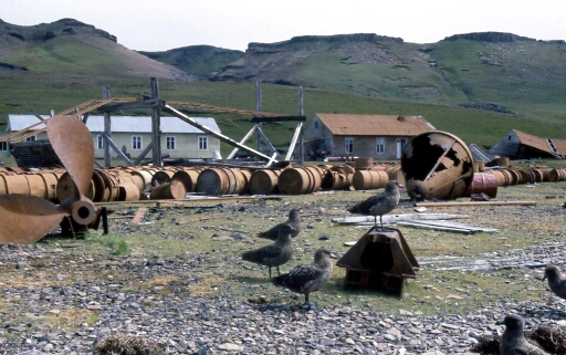 Port Jeanne d'Arc,  ancienne station baleinière franco-norvégienne à l'abandon.