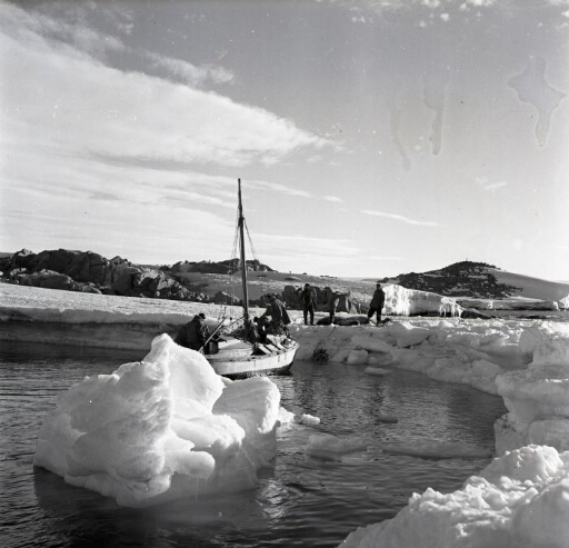 Le Skodern, au retour de la chasse aux phoques, en cours de déchargement sur la côte.