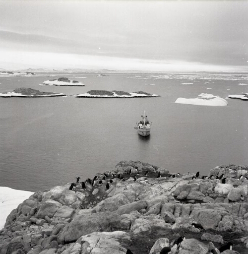 Le Norsel au mouillage à l'ouest de l'île des Pétrels en arrière plan les îles en direction du continent.