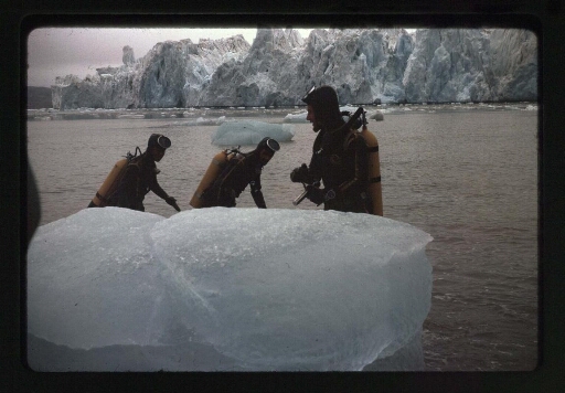 Trois plongeurs devant un morceau de glace devant  le glacier de la Baie du Roi  - mission CNRS 1964 - vue 1