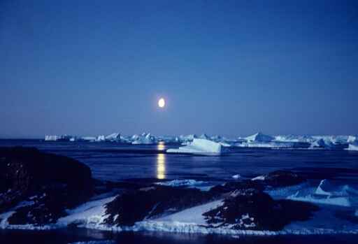 Vue depuis la base vers le nord-est. L'île du Lion, nombreux icebergs sur une mer libre éclairée par la lune.