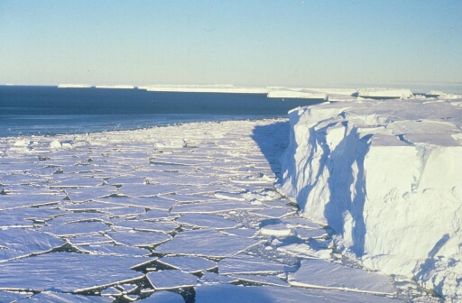 Grand iceberg tabulaire sur un pack très dense. Au-delà, mer libre, nombreux grands icebergs bordant l'horizon.