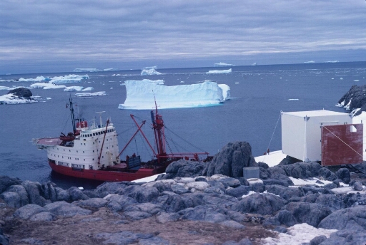 Le Thala Dan à cap Prudhomme. Mer libre, nombreux icebergs, ciel couvert.