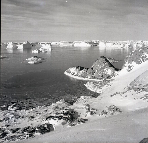 Au nord-est de l'île des Pétrels, glace de mer en formation en direction du glacier de l'Astrolabe, nombreux icebergs.