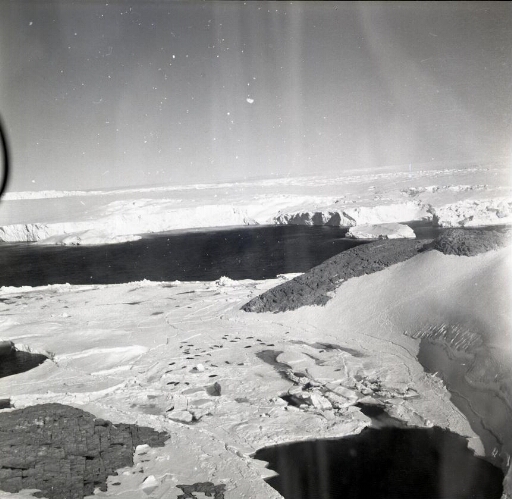 Au sud de l'ile des Pétrels, le chenal Pedersen bloqué par la glace. Phoques de Weddell. Île J. Rostand et l'Astrolabe.