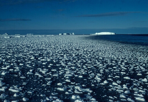 Survol d'un pack en formation. Icebergs tabulaires à l'horizon où la mer semble libre.