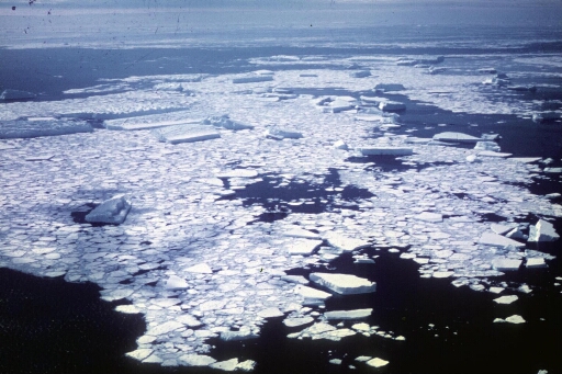 Pack assez dense et grands icebergs au nord-est de l'archipel. Au centre de la photo le rocher du Débarquement.