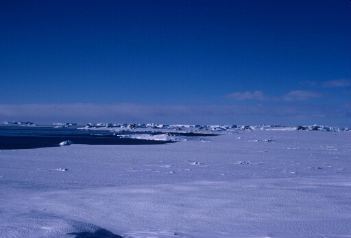 Entre cap Prudhomme et le glacier de l'Astrolabe, banquise et mer libre. L'île du Gouverneur, nombreux icebergs à l'horizon.
