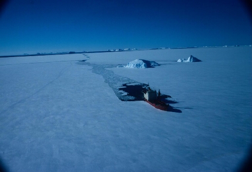 Le Thala Dan trace sa route dans la banquise. Au loin, la mer est libre où se détachent quelques icebergs.