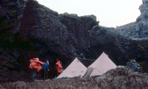 Canyon et falaise des Albatros à sourcils noirs - découverte du campement - plan 1