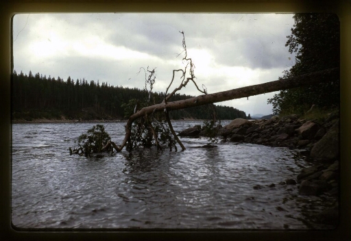 Mission en Suède durant l'été 1960 - vue 20