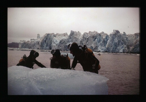 Mission plongée près du front du glacier de la Baie du Roi - mission CNRS 1965 - vue 3