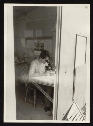 Marie-Jo, dans un bâtiment de la base Corbel, utilisant son microscope - mission CNRS 1966