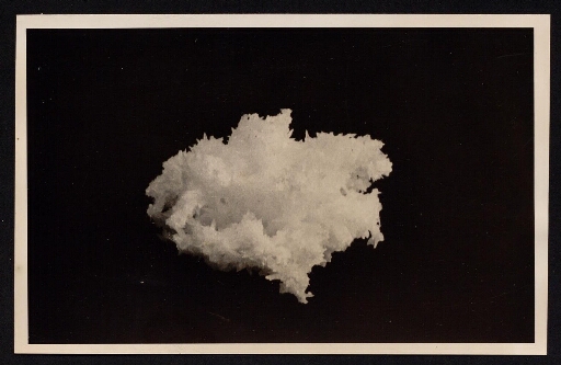 Un gypse, dénommé aussi gypsite, ou pierre à plâtre, cristallisé sur la neige
