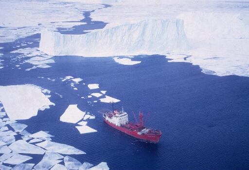 Le Thala Dan, navire danois de l'armateur J. Lauritzen, sort du pack pour naviguer en eau libre sur fond d'icebergs.