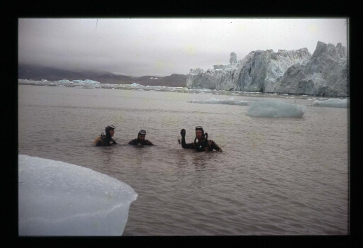 Trois plongeurs dans l'eau près du front d'un glacier - mission CNRS 1966