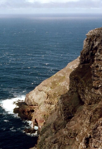 Canyon et falaise des Albatros à sourcils noirs - Falaises ou nichent les Albatros à sourcils noirs.