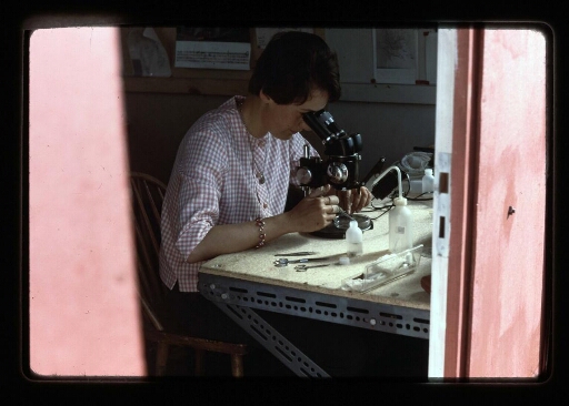 Marie-Jo au laboratoire de la base Corbel- mission CNRS 1966 - vue 2