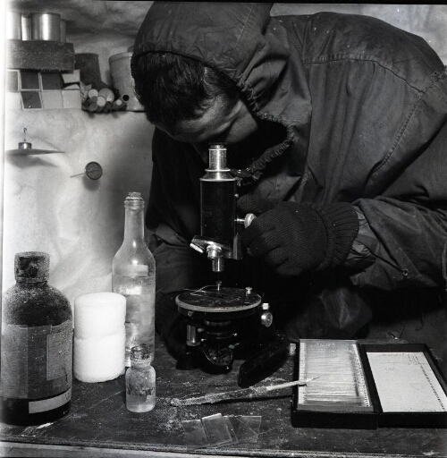 Claude Lorius dans son laboratoire aménagé dans la cave creusée dans le névé observe au microscope un échantillon.