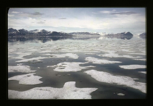 Un fjord et des morceaux de glace qui fottent au Spitzberg - mission CNRS 1966