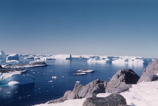 Vue prise de l'île des Pétrels vers le large. Mer libre,  et très nombreux icebergs. Beau temps calme.