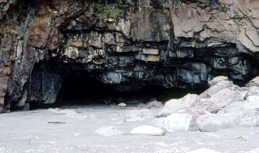 Ballade de 9 jours autour du Mont Ross - J4 - Crique Nunn_ Doigt de Ste Anne. La caverne sous le Doigt