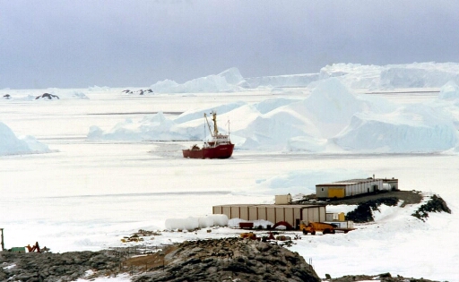 Vue du PolarBjorn dans la glace de mer à son arrivée à l'île du Lion - plan 1