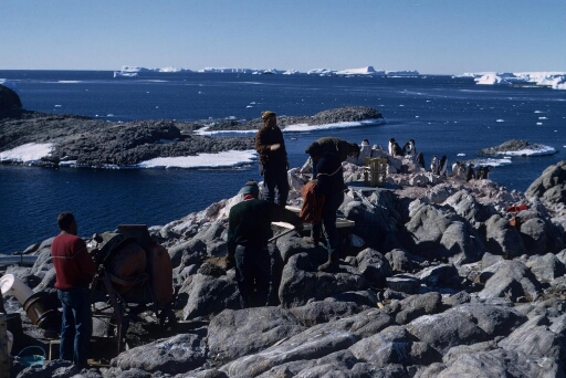 Travaux de campagne d'été par beau temps. Mer libre à perte de vue. L'île du Lion, des icebergs à l'horizon. Des manchots Adélie près du chantier.