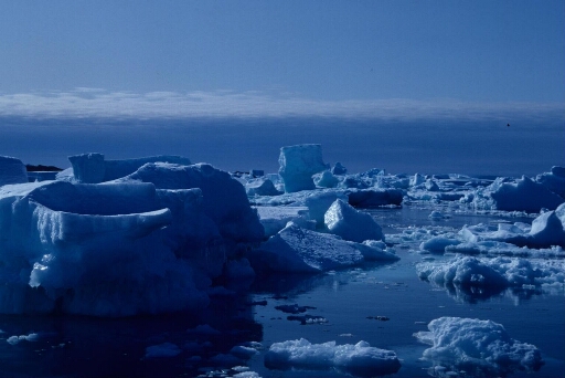 Accumulation de petits icebergs et de morceaux de banquise disloquée.