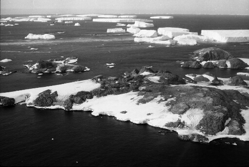 Survol vers le nord-est des îles des Pétrels, du Lion, Buffon et Claude Bernard. Nombreux icebergs.