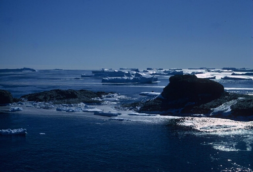 L'île du Lion vue depuis l'île des Pétrels. Sur une mer libre, nombreux icebergs.