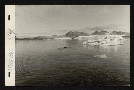 Les plongeurs dans l'eau entre des petits iceberg - mission du CNRS 1965