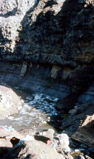 Canyon et falaise des Albatros à sourcils noirs - descente pour arriver au torrent - plan 2