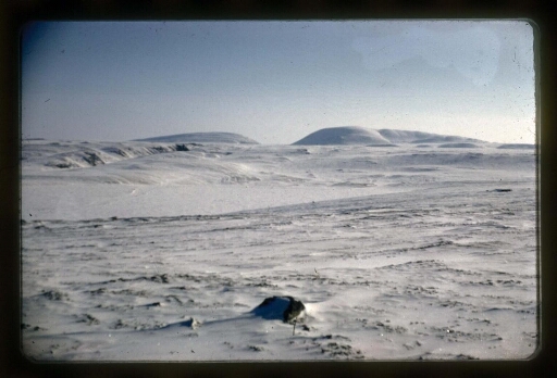 Jean Corbel et des collègues en mission en Arctique - vue16