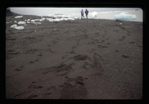 Vue sur la plage et la neige, au loin deux personnes marchent près du fjord de la Baie du Roi - mission CNRS 1964