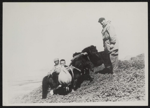 Trois hommes promènent trois poneys sur un plateau rocheux