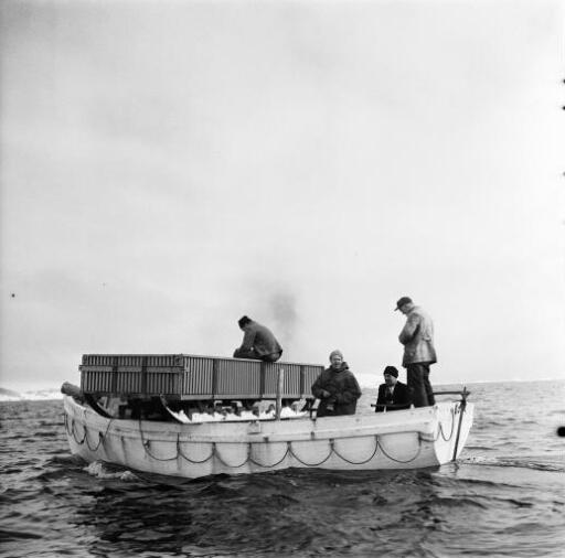 Les traîneaux destinés au transport du matériel jusqu'à Charcot sont transportés sur les chaloupes du Norsel .