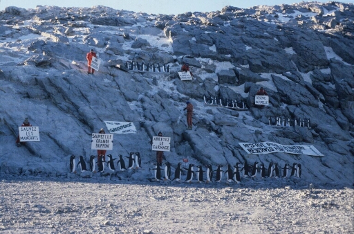 Manifestation de Greenpeace sur la piste du Lion : des silhouettes de manchots Adélie ont été déployées au sud de l'île Buffon encore intact.