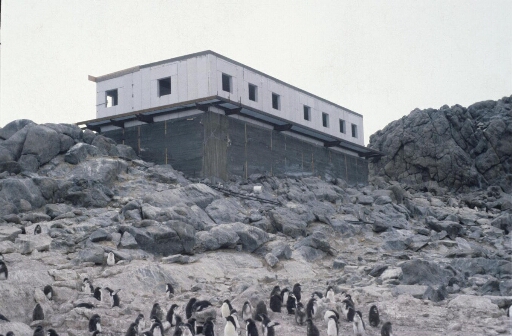 Construction du laboratoire de biologie marine au nord-est de l'île.