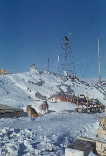 Un traîneau, deux chiens. Au second plan, les antennes  radio et la tour météo. Beau temps, ciel  très bleu.