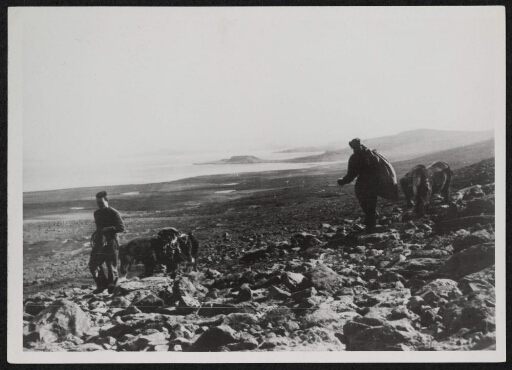 Deux hommes promènent trois poneys sur un plateau rocheux