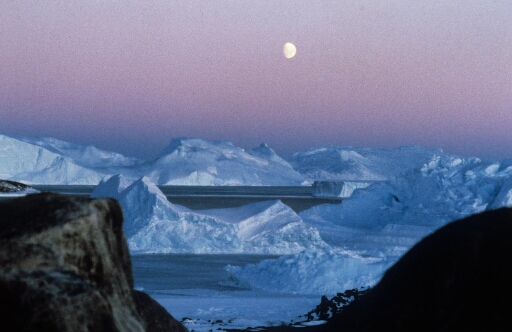 Beau paysage d'icebergs dominé par la Lune. Lumière froide.