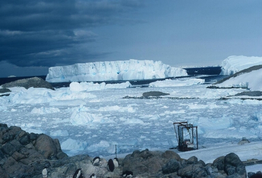 Un iceberg échoué à peu de distance du sud de l'île des Pétrels. A droite l'île Jean Rostand, au loin l'Astrolabe. Dans cette zone, pack très dense. Mer libre au-delà.