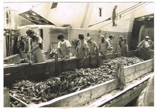 Pêcheurs de langoustes à bord de l'Austral
