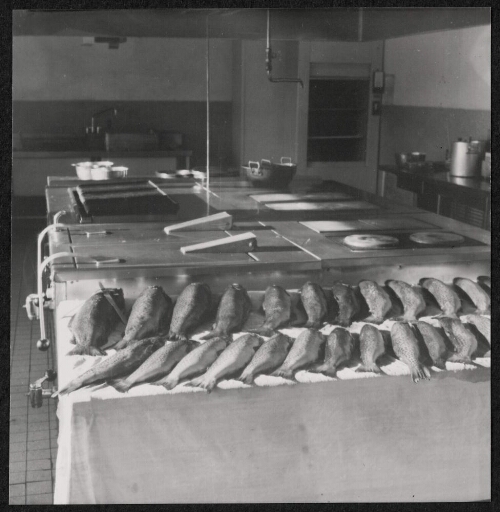 Etalage de poissons alignés en vue de leur préparation sur une table de la cuisine.