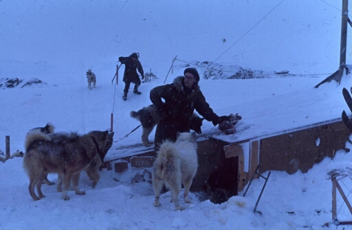 Le bâtiment principal de Port-Martin est en partie enseveli sous la neige au point que Georges Schwartz, entouré de ses chiens, puisse prendre appui sur le toit.