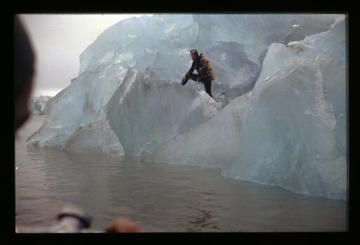Plongeurs sur un morceau  du glacier de la Baie du Roi - mission CNRS 1965 - vue 4