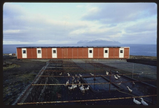 Hangar avec un enclos pour canards au premier plan. Diapo 1