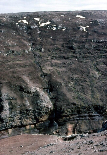Canyon et falaise des Albatros à sourcils noirs - canyon taillé dans la lave